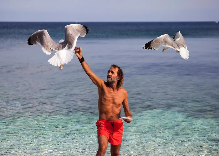 Seccione شقة فندقية 3*