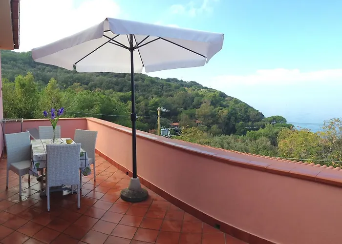 Seccione بورتوفيرّايو