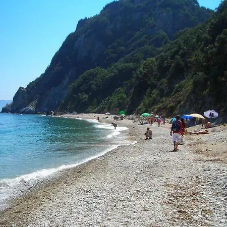 Seccione *